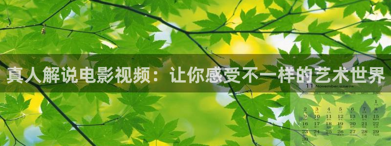 久久久久视频精品
