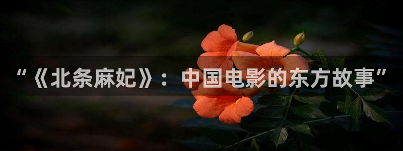 韩国久久视频在线观看