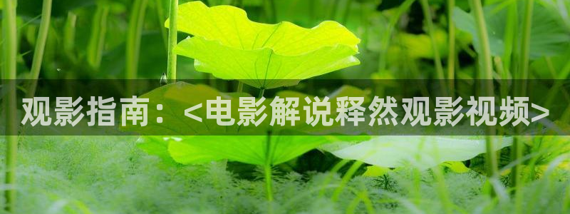 久久视频2