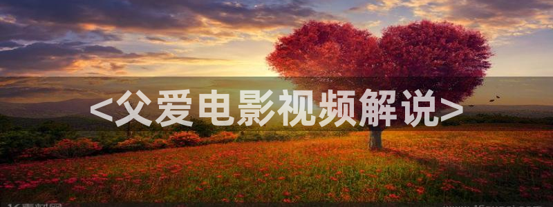 久久久久久免费视频