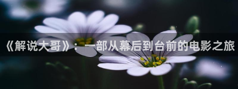 精品久久久电影网