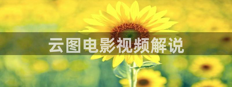 91精品国产综合久久久动漫日韩