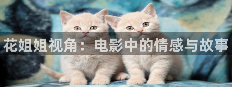 蜜桃久久视频