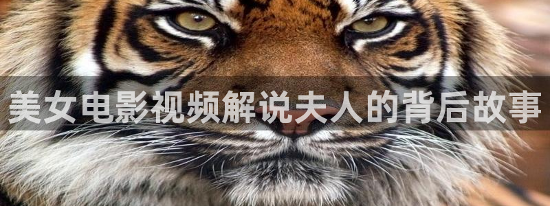 久久视频15