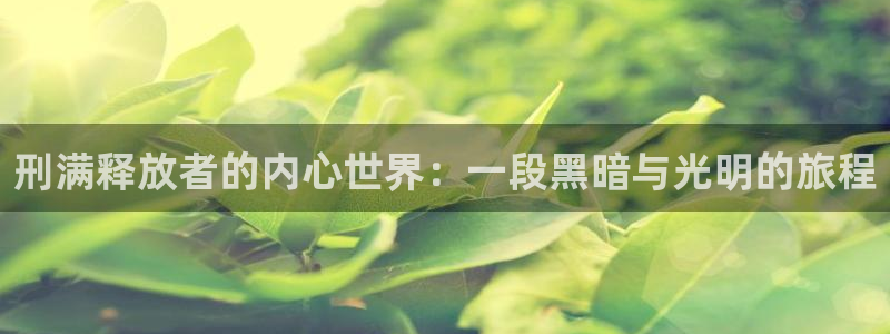 天天看片久久久