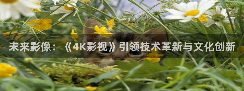 久久久影视在线