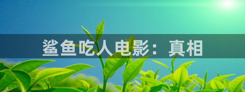 久久视频网站网址