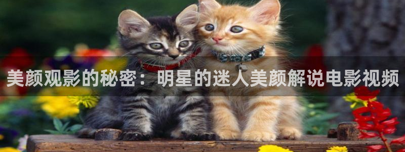 久久视频免费观看