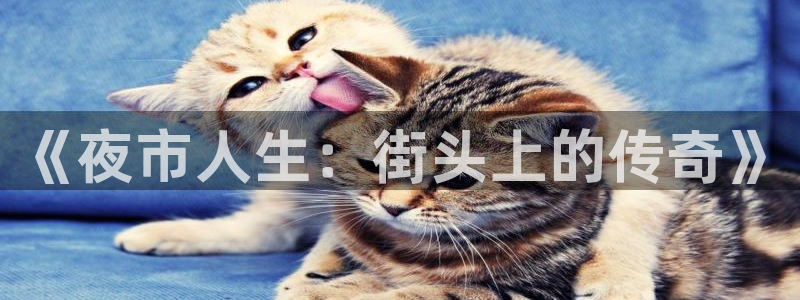 久久久影院99