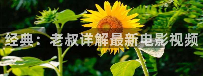 久久视频这里是精品